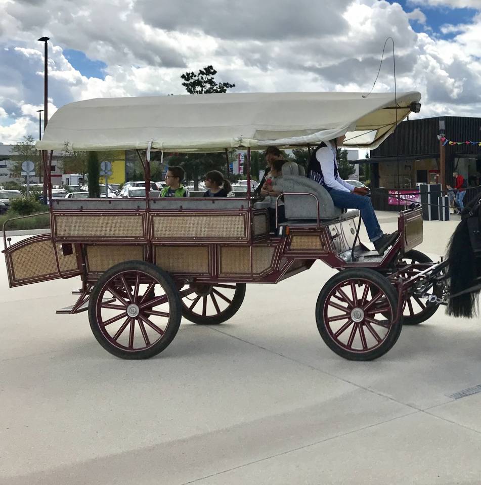 Carriage - Wagonnette - Other brand -  