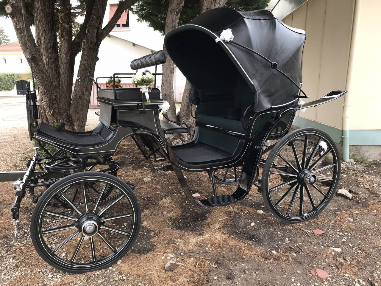 Carriage - Mylord - Other brand -  