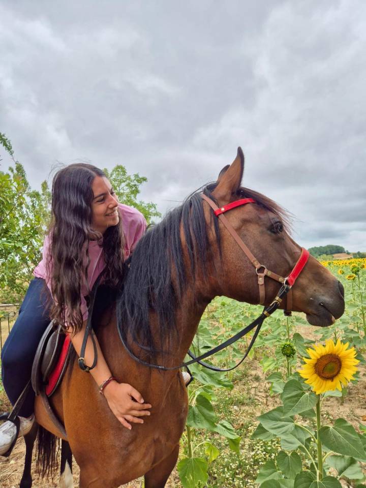 Mare Origin Recorded For sale 2016 Bay