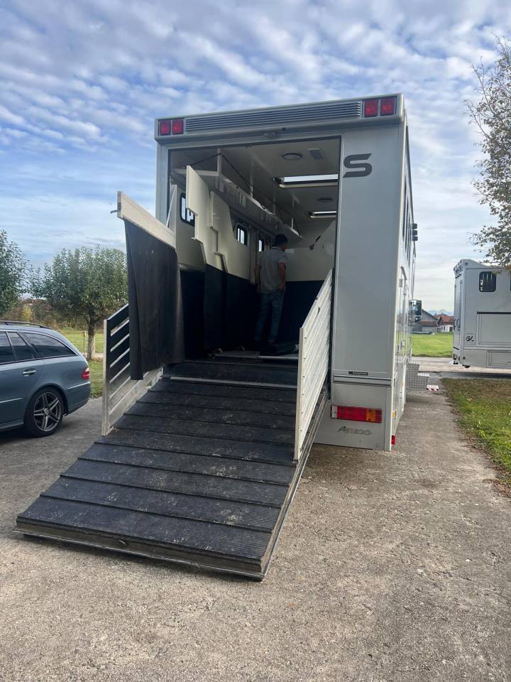 Horsebox NON-HGV Mercedes MERCEDES-BENZ 0 Used