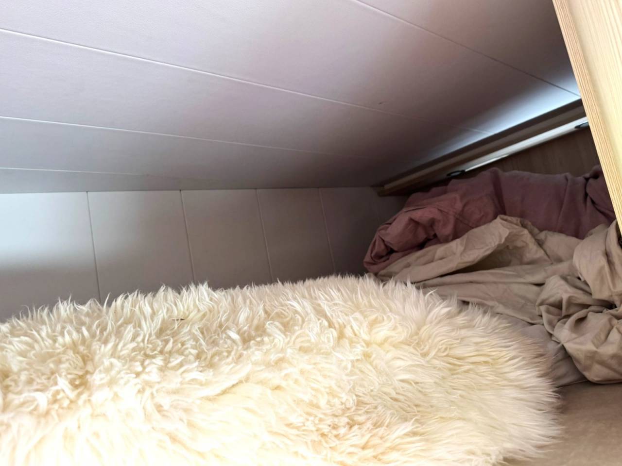 Horsebox NON-HGV Autre marque VOLVO 0 Used