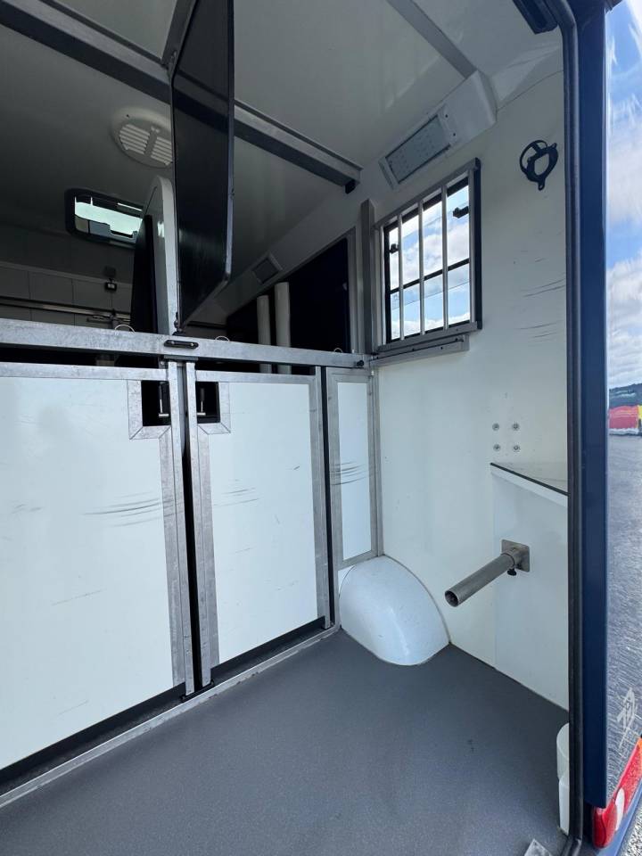 Horsebox HGV Renault STX 2015 Used