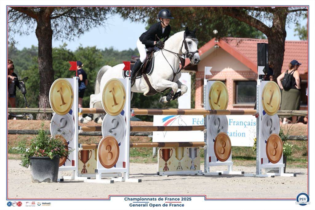 Colt Connemara For sale 2025 Grey