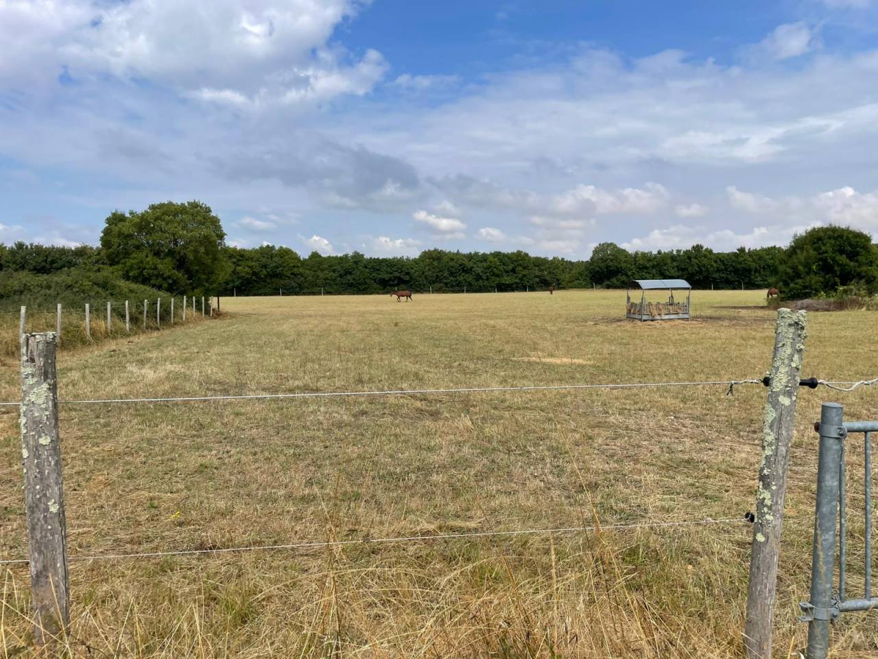 Equestrian property  Deux-Sèvres