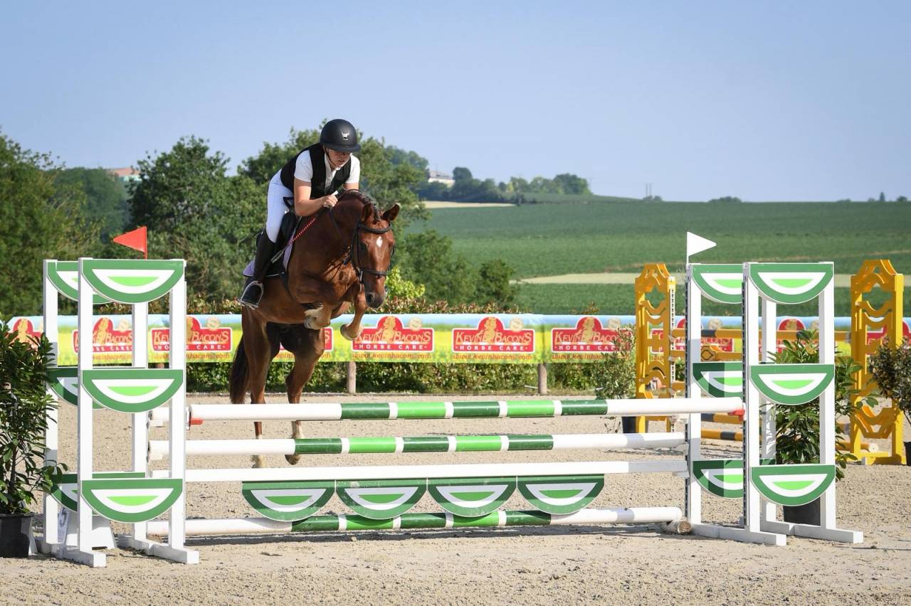 Gelding French Saddle Pony For sale 2021 Chesnut