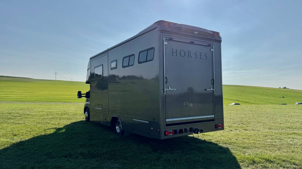 Horsebox NON-HGV Iveco IVECO 0 Used