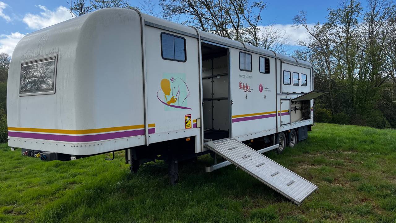 Horsebox HGV Iveco IVECO 35C18 / Semi Remorque VOW 2010 Used