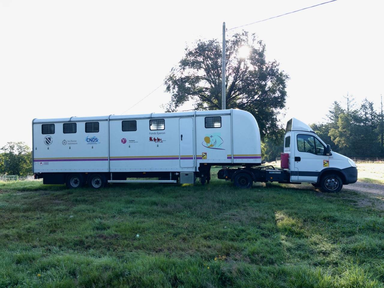 Horsebox HGV Iveco IVECO 35C18 / Semi Remorque VOW 2010 Used