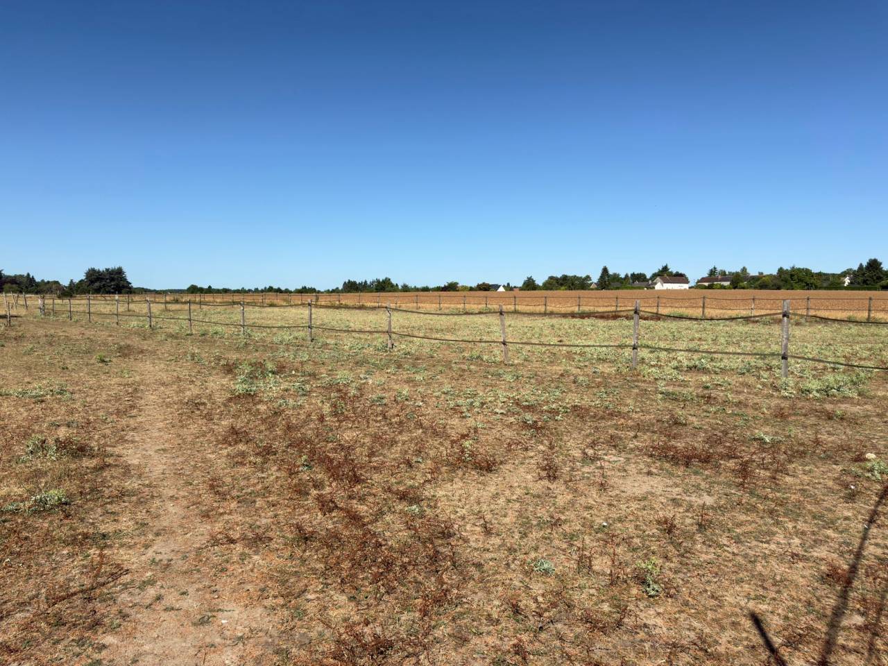 Equestrian property  Loir-et-Cher