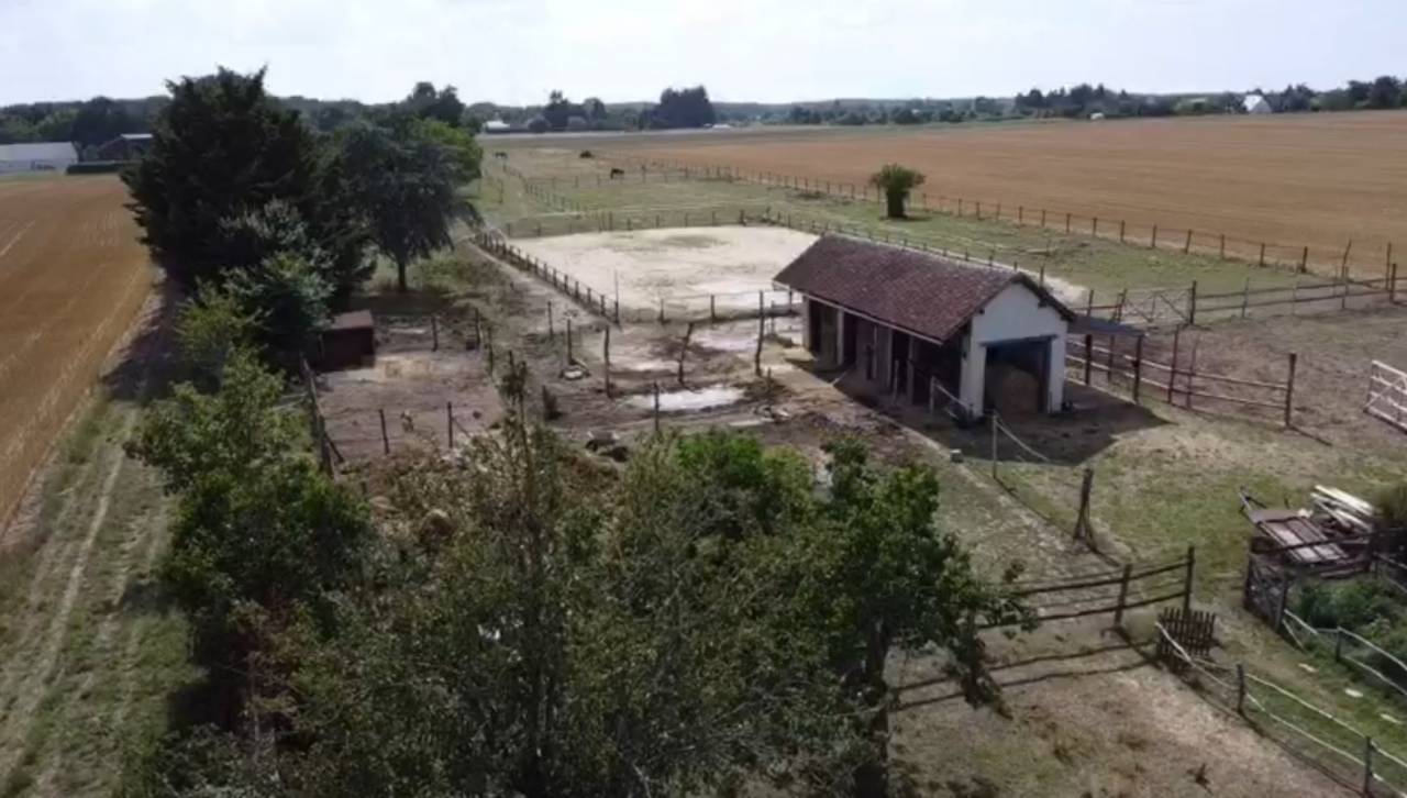 Equestrian property  Loir-et-Cher