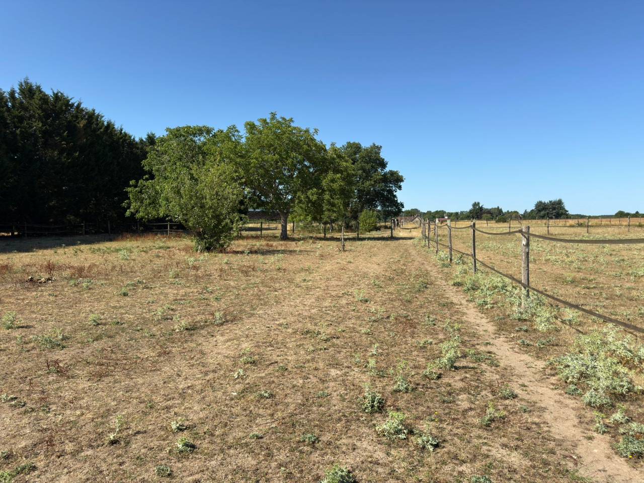 Equestrian property  Loir-et-Cher