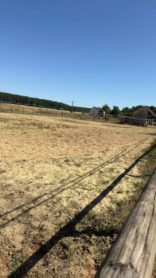 Equestrian property  Loir-et-Cher