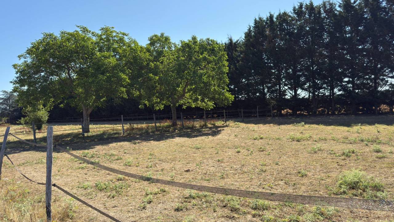 Equestrian property  Loir-et-Cher