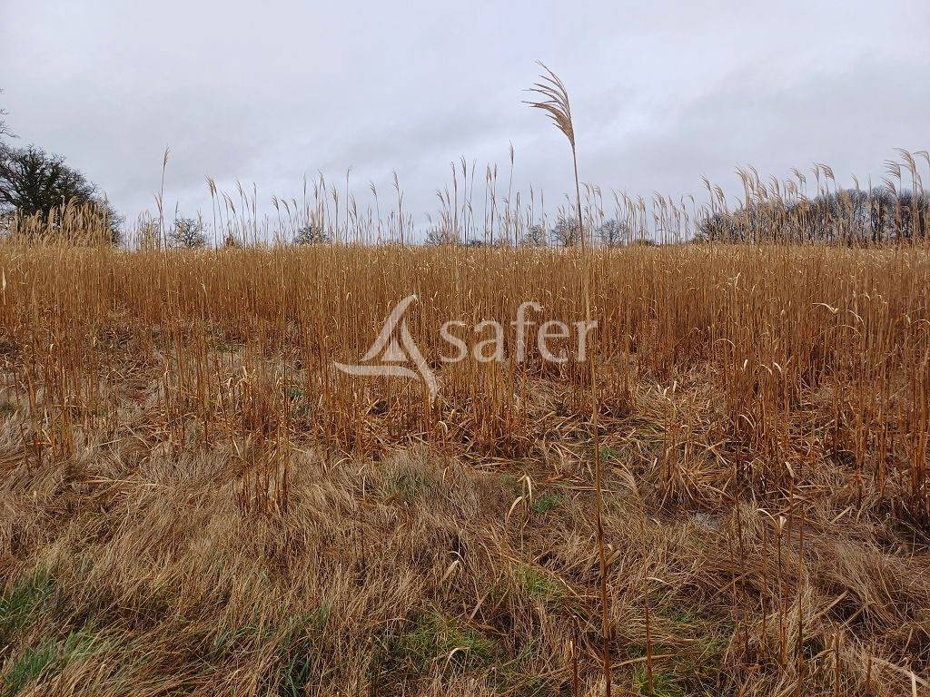 Other agricultural property  Haute-Vienne