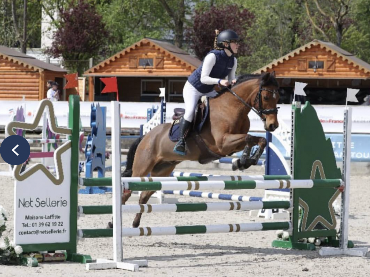 Gelding New Forest Part-Livery 2011 Bay