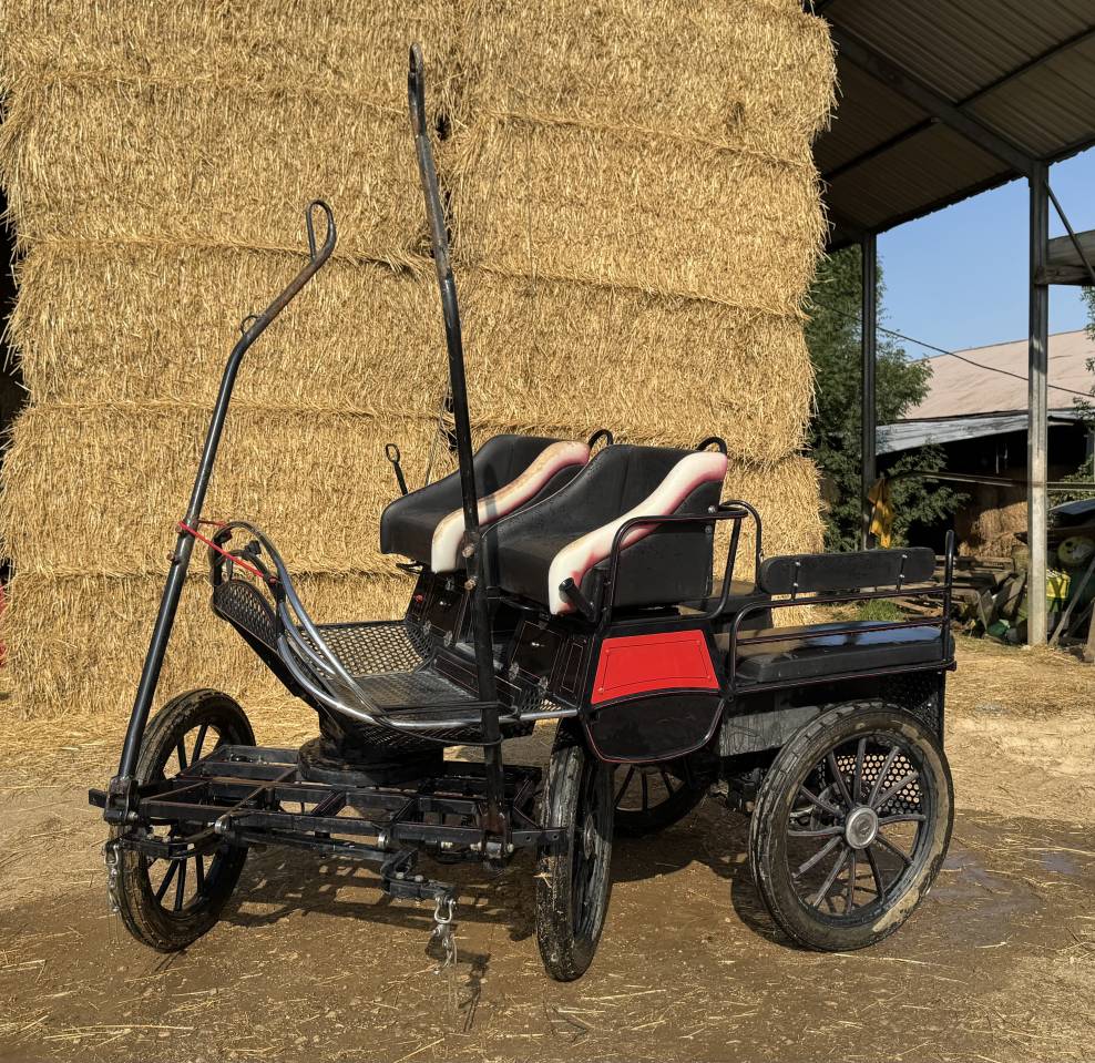 Carriage - Wagonnette - Other brand -  