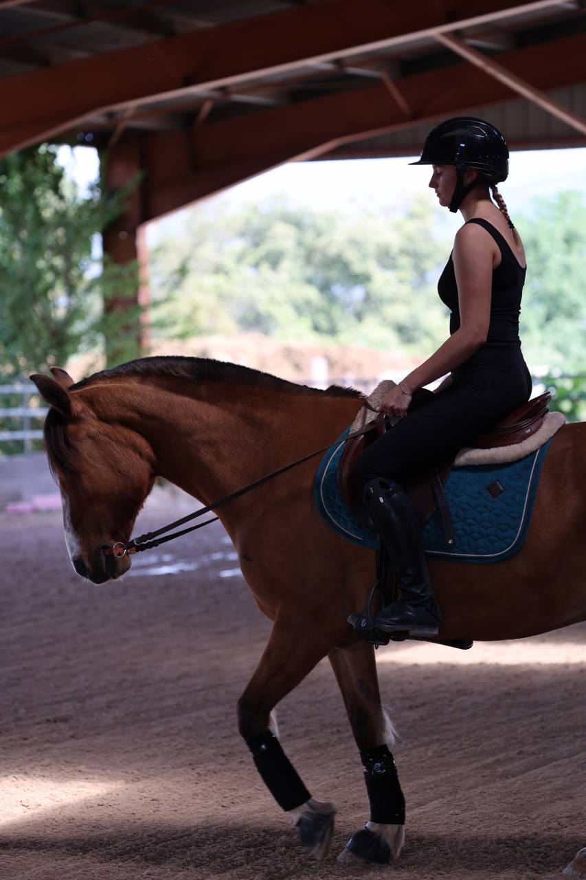 Mare Other Pony Breed Part-Livery 2017 Buckskin