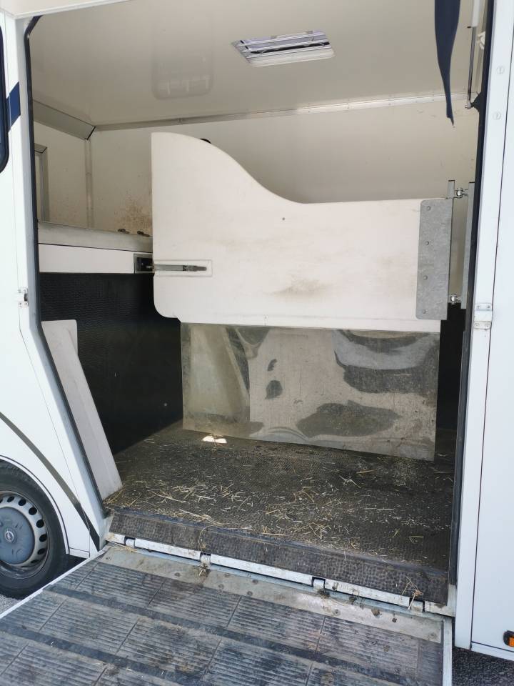 Horsebox HGV Cavalcar opel movano 2020 Used