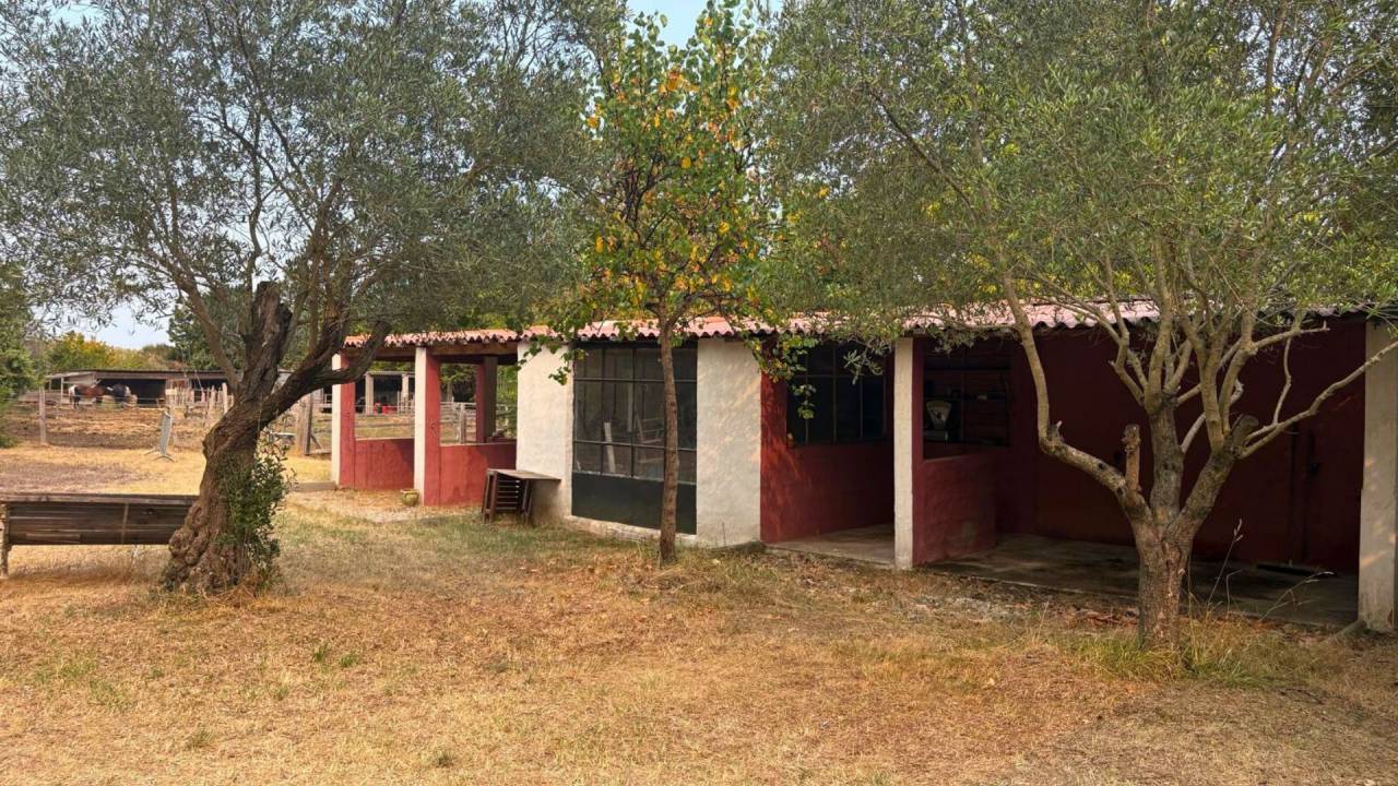 Holiday equestrian property  Aude