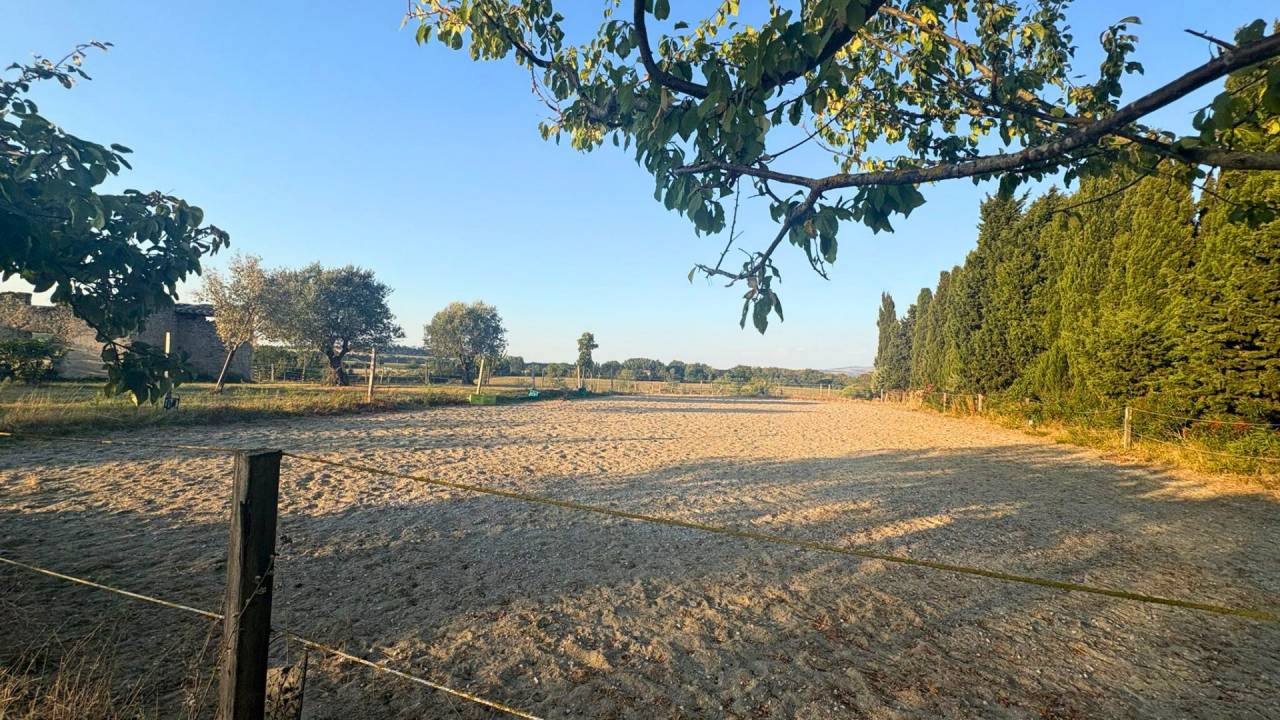 Holiday equestrian property  Aude