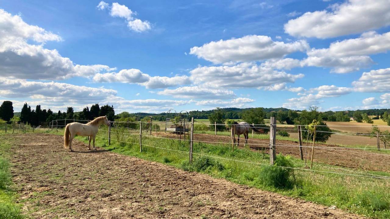 Holiday equestrian property  Aude