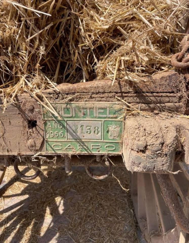 Carriage - Other carriage   