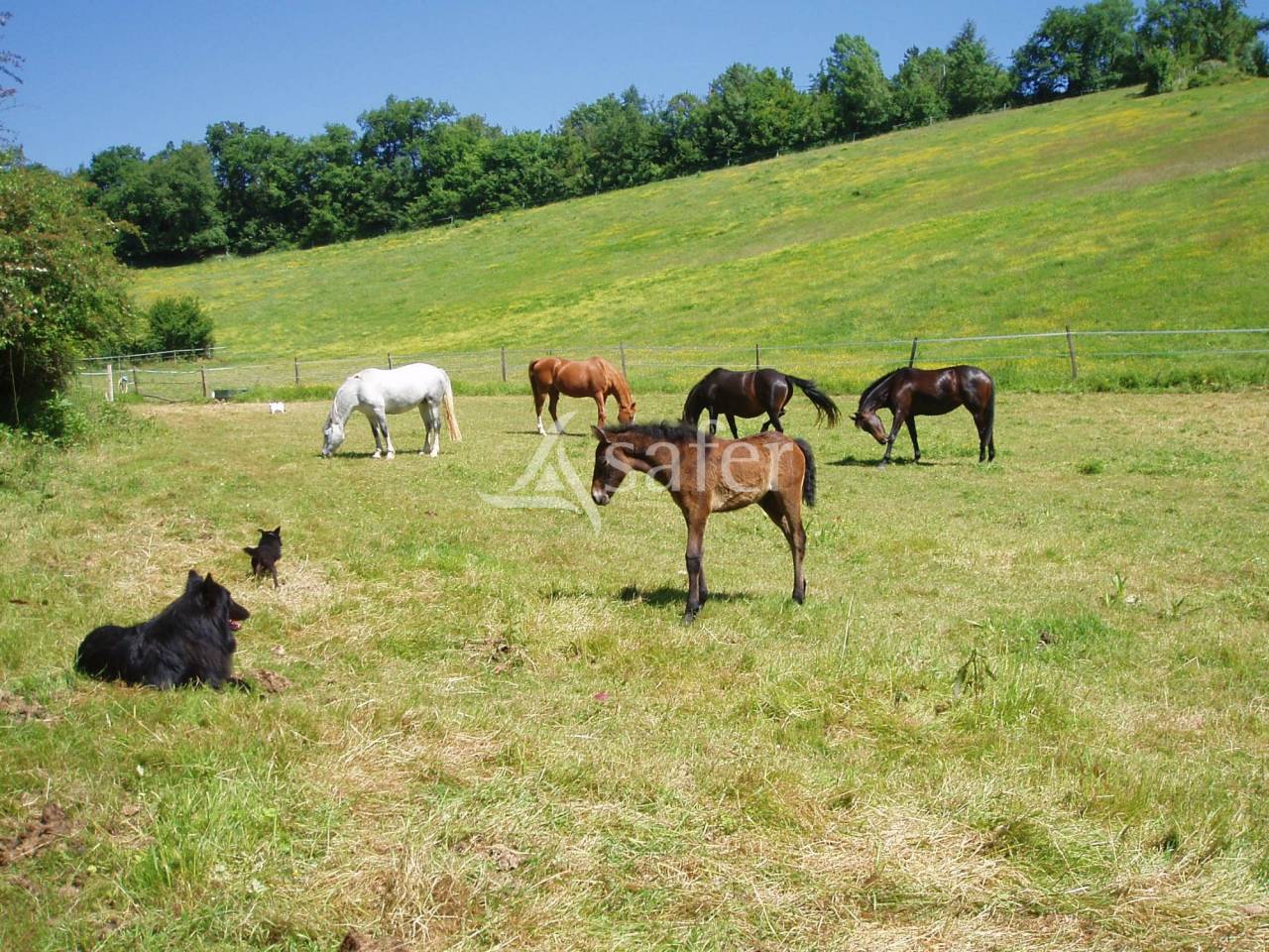 Other country property  Gers