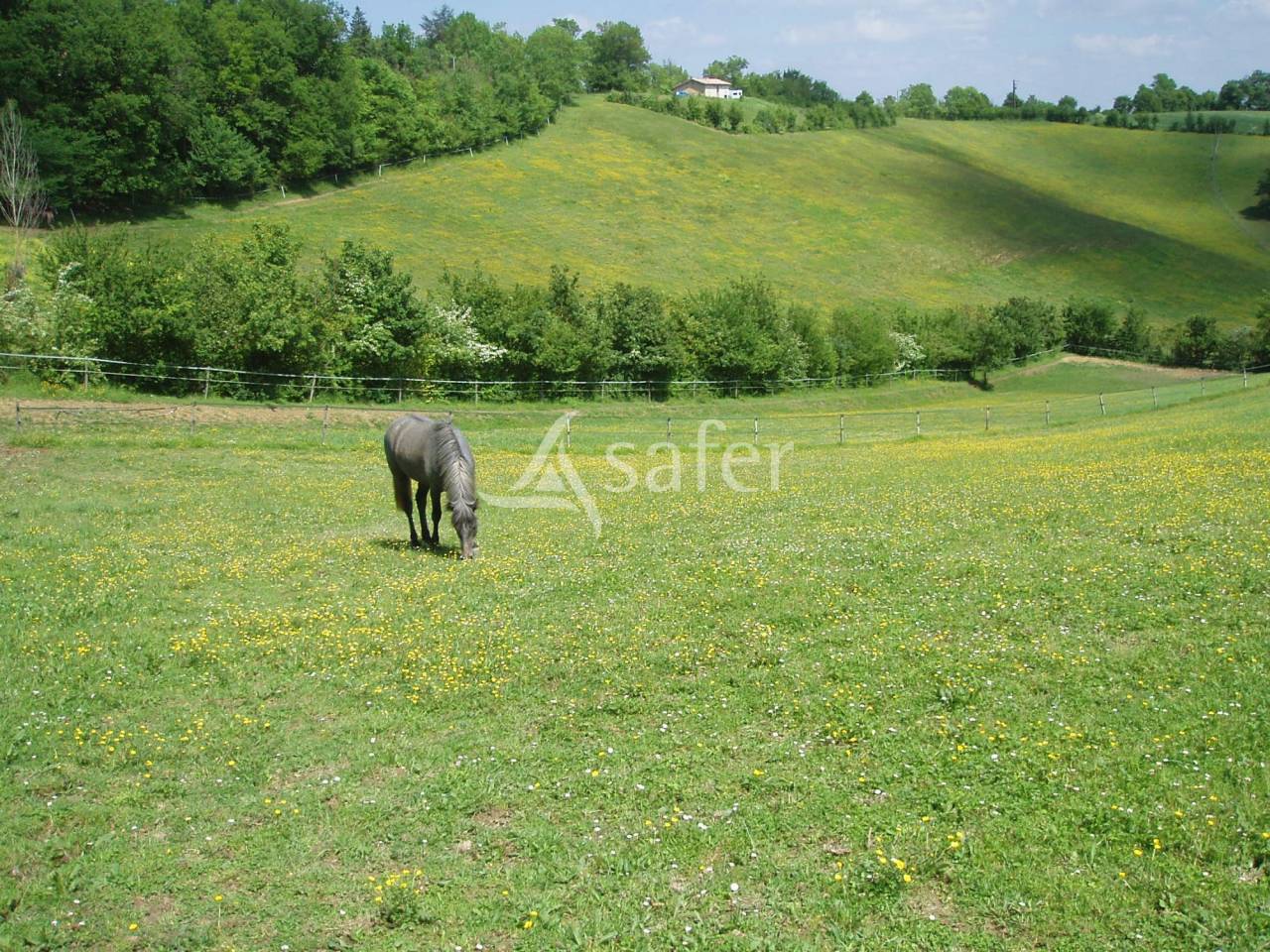 Other country property  Gers