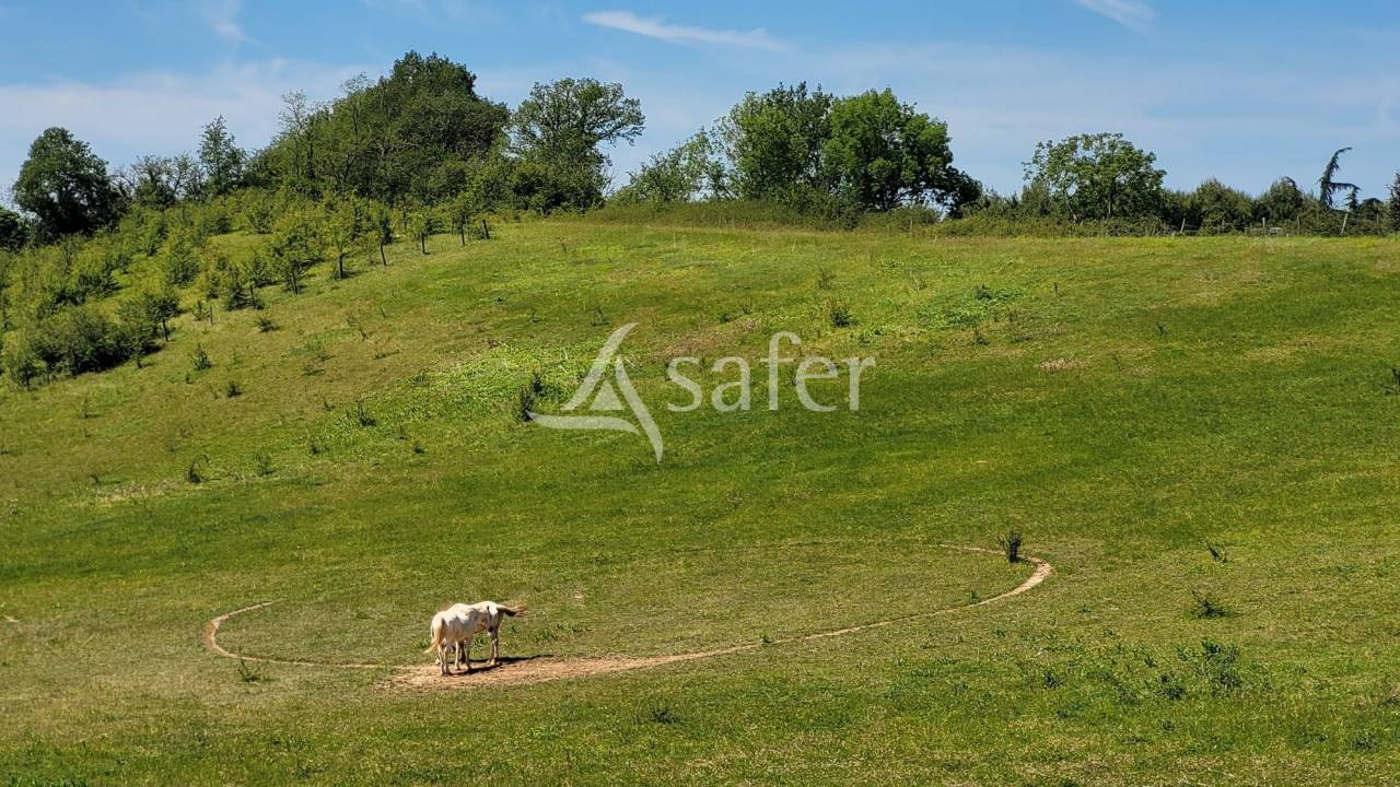 Other country property  tarn