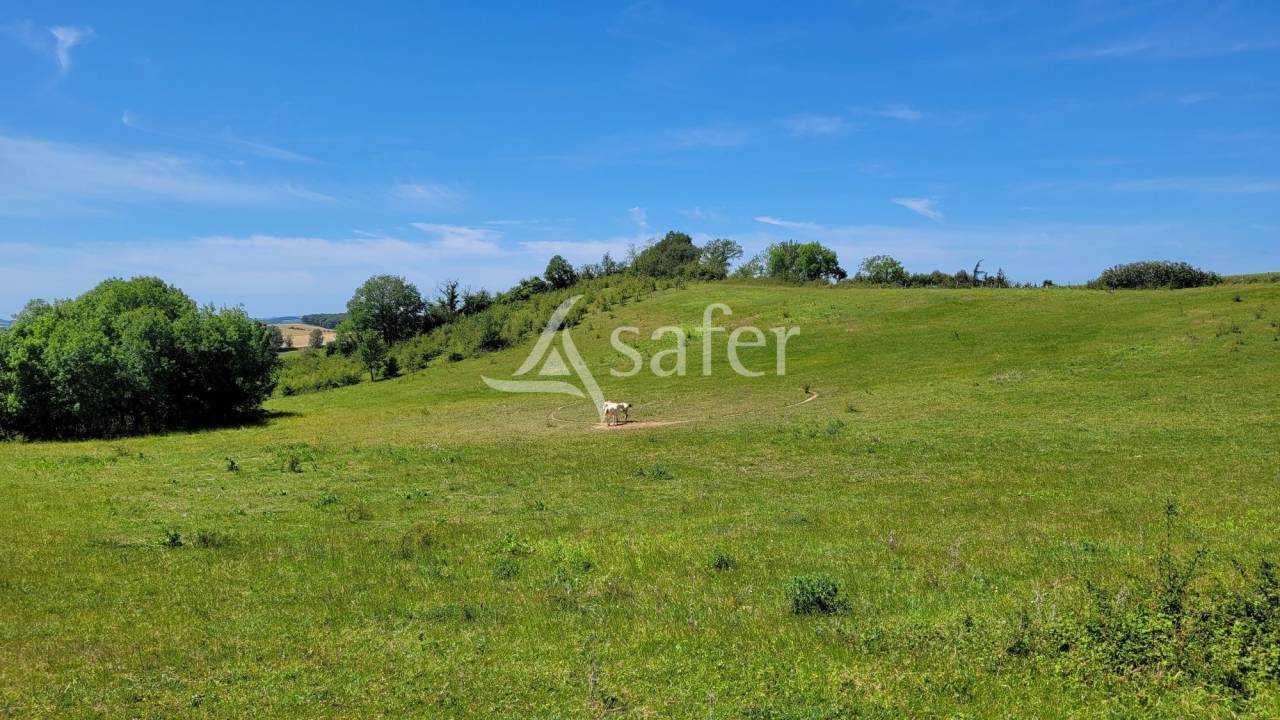 Other country property  tarn