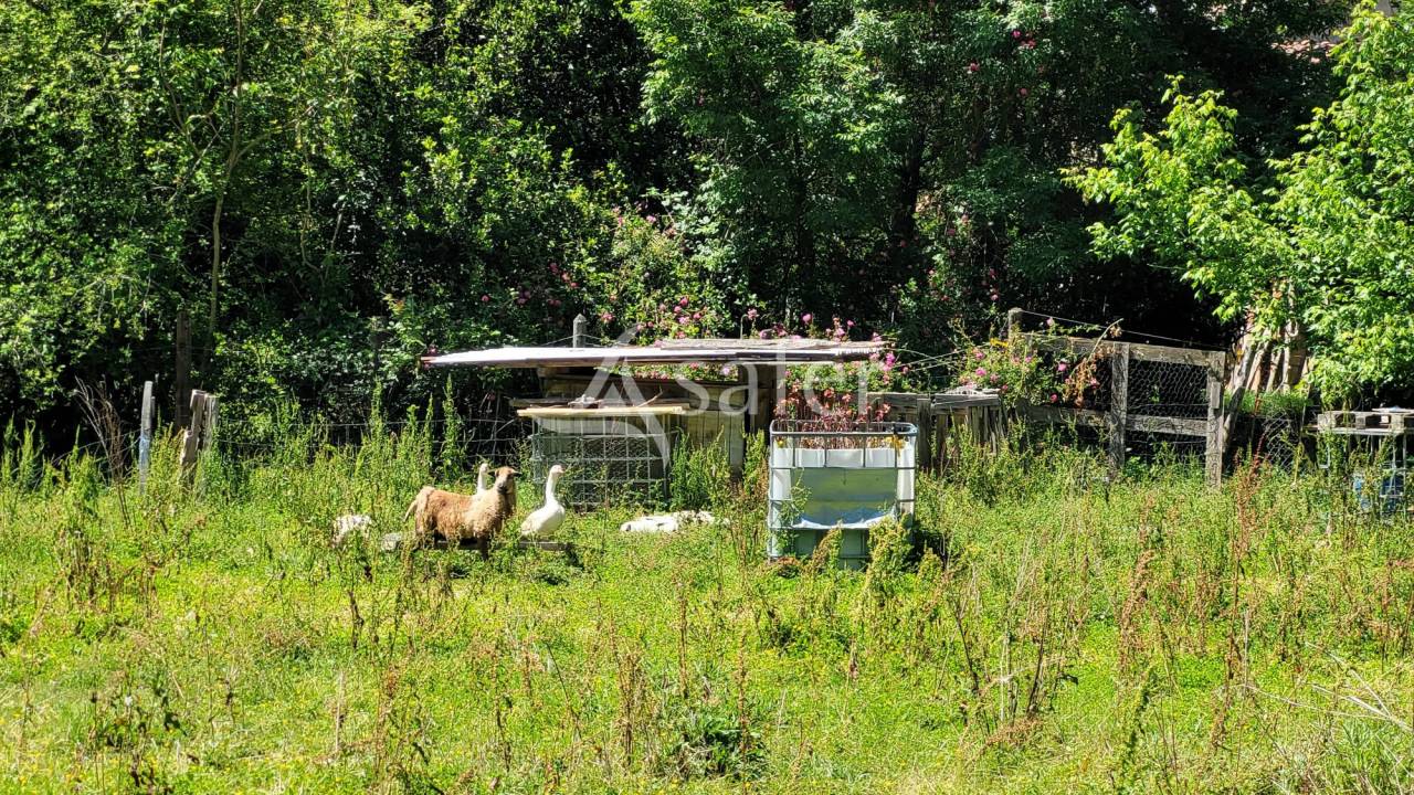 Other country property  tarn