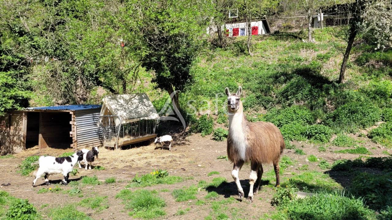Other country property  Aveyron