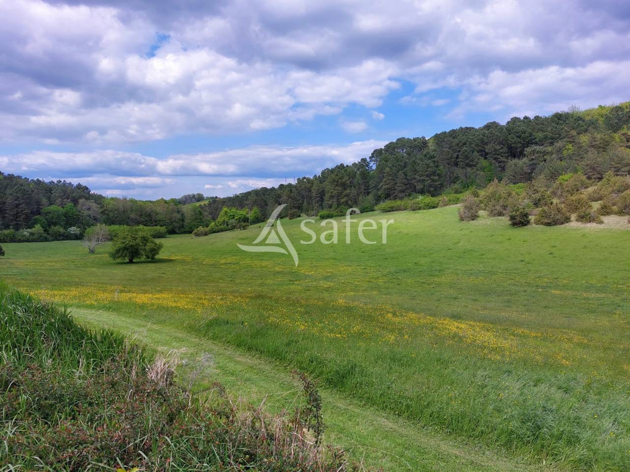 Other country property  Dordogne