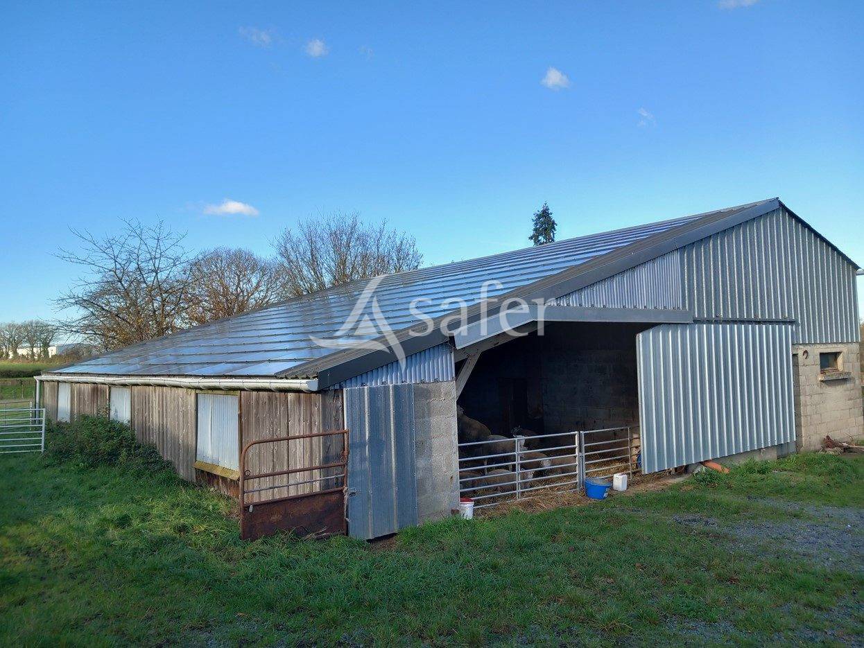 Sheep farm  Maine-et-Loire