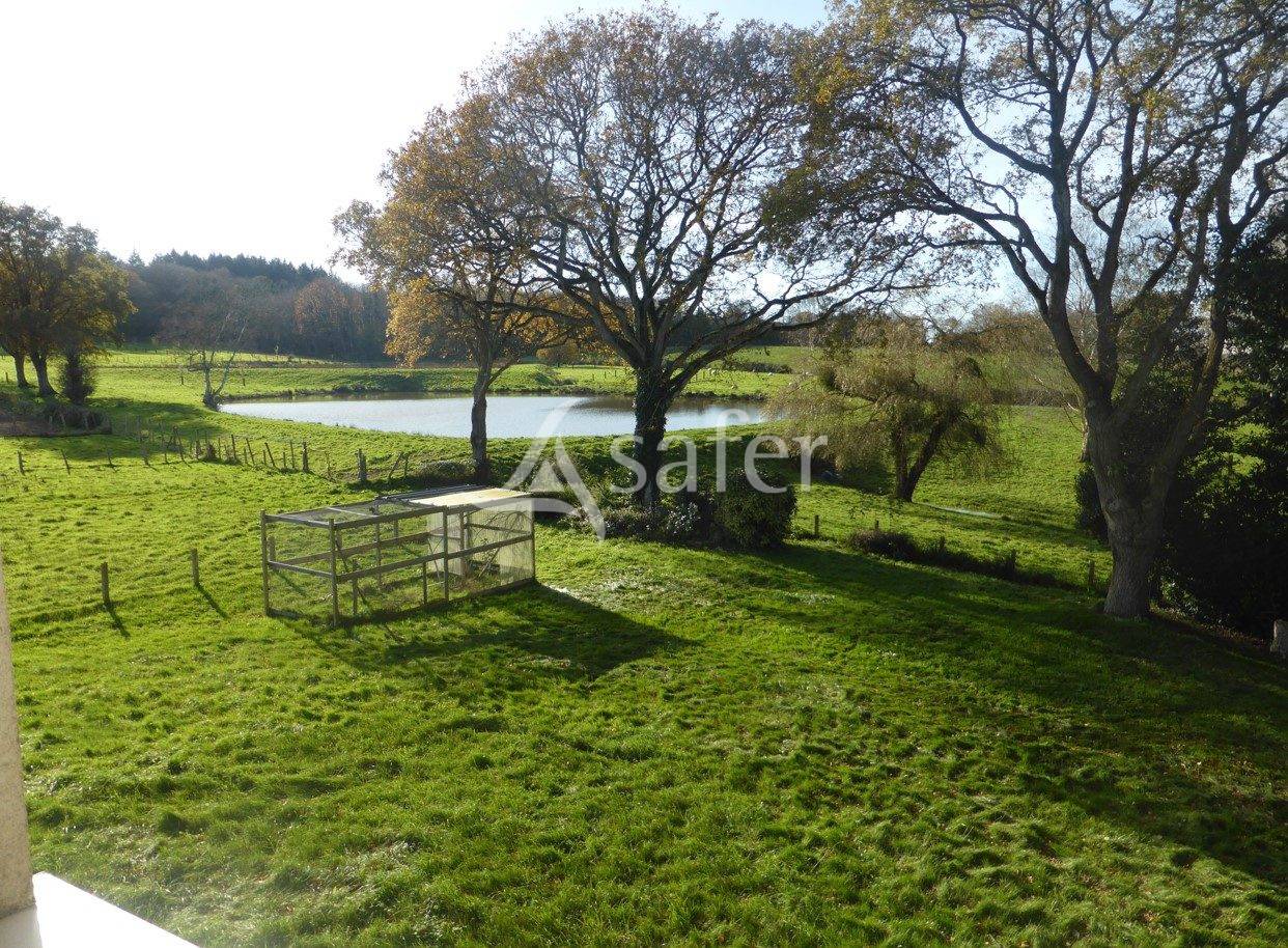 Sheep farm  Maine-et-Loire
