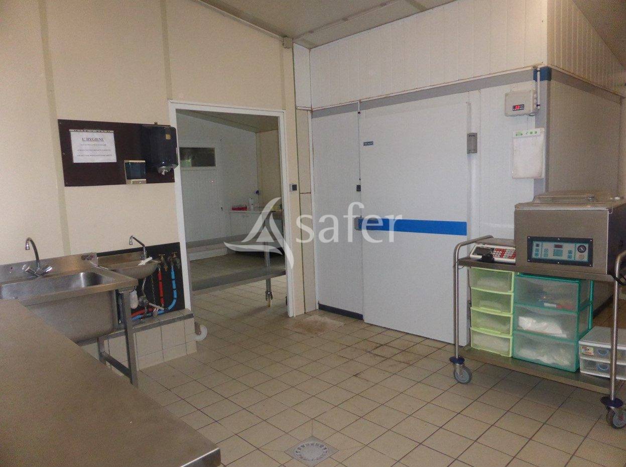 Sheep farm  Maine-et-Loire