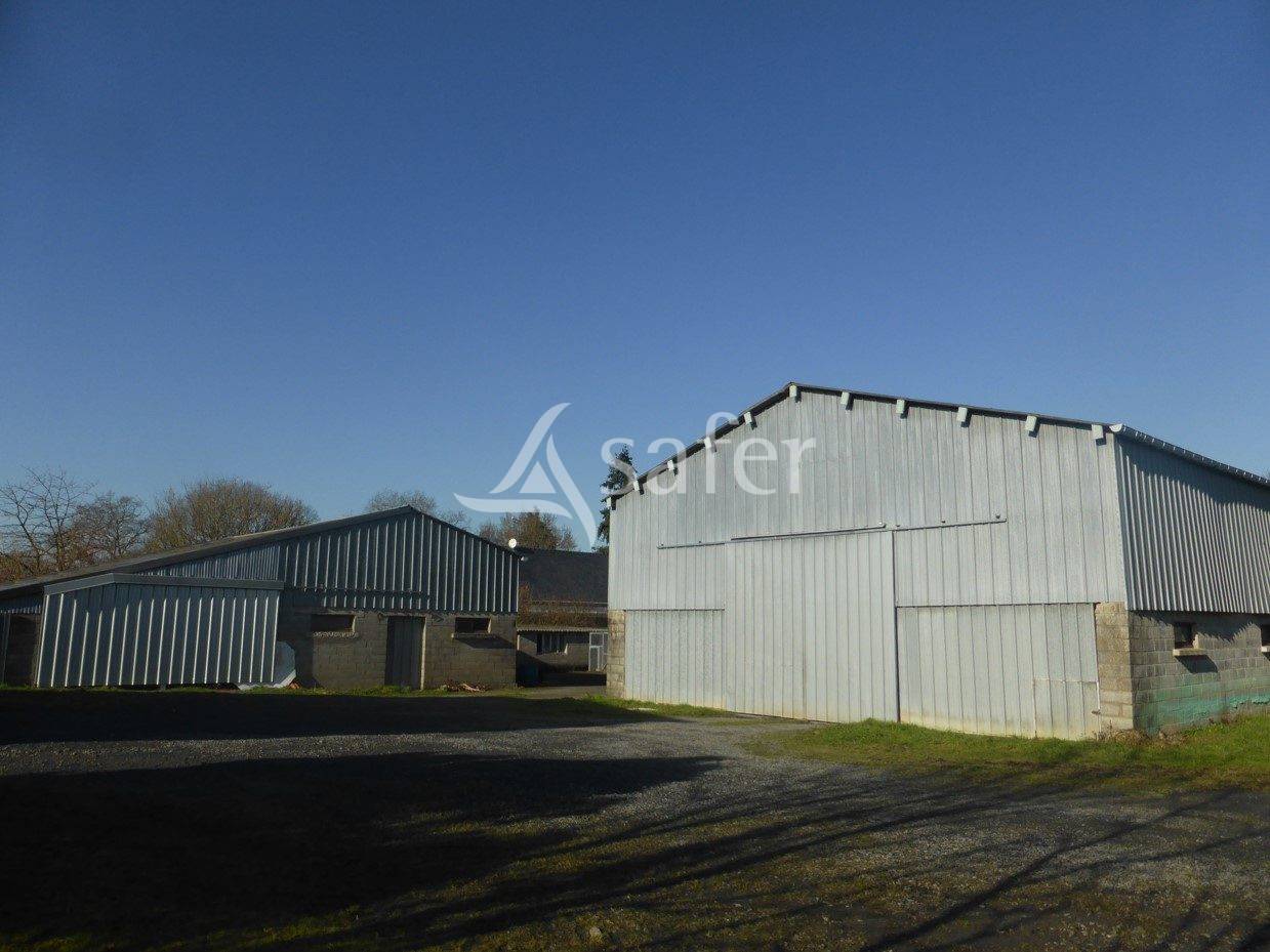 Sheep farm  Maine-et-Loire