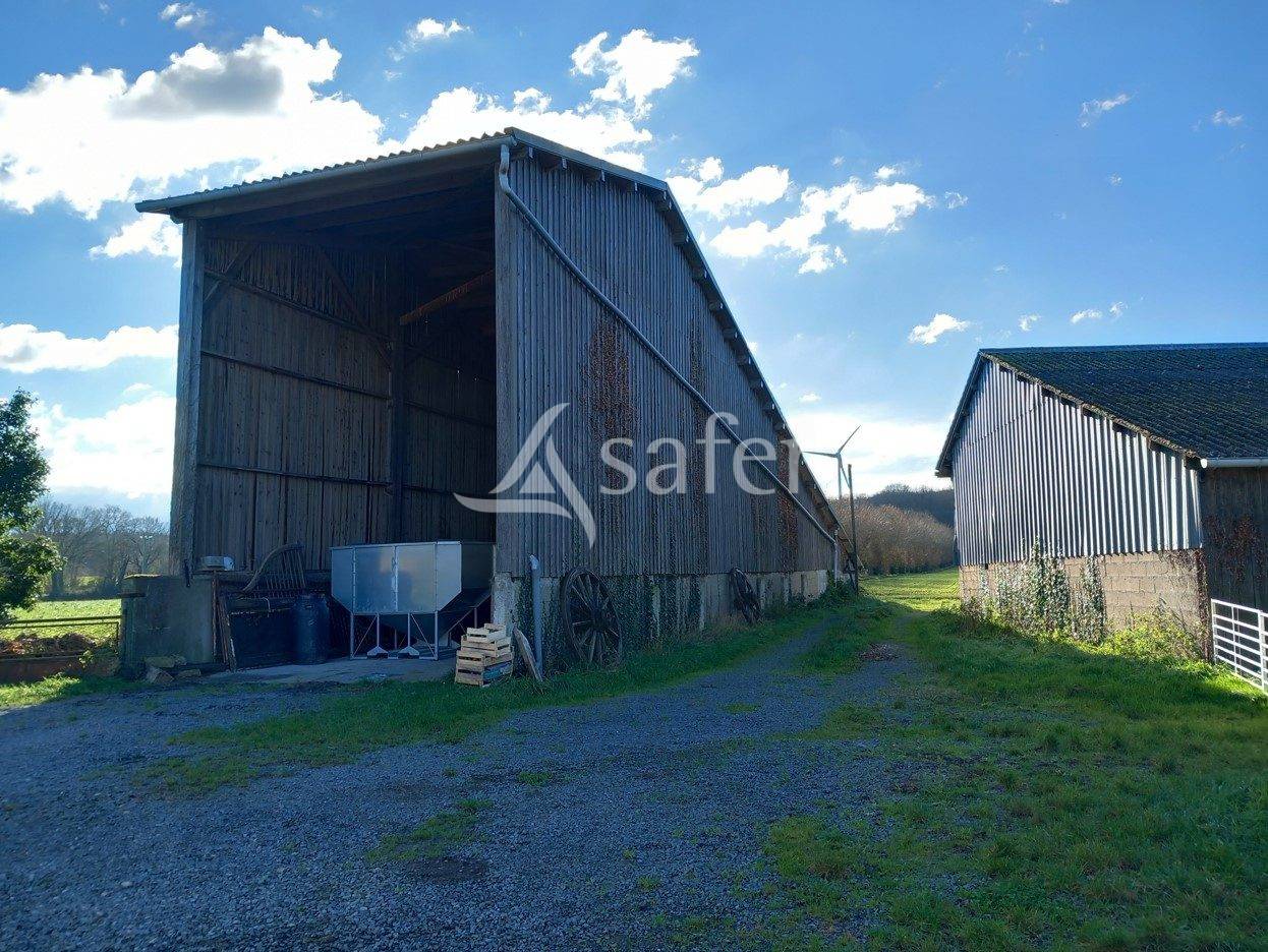 Sheep farm  Maine-et-Loire