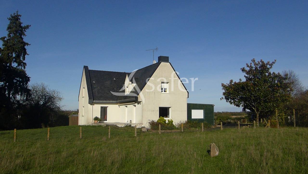 Sheep farm  Maine-et-Loire