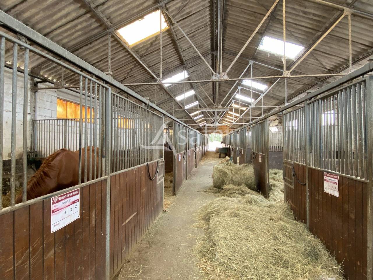 Equestrian property  Orne