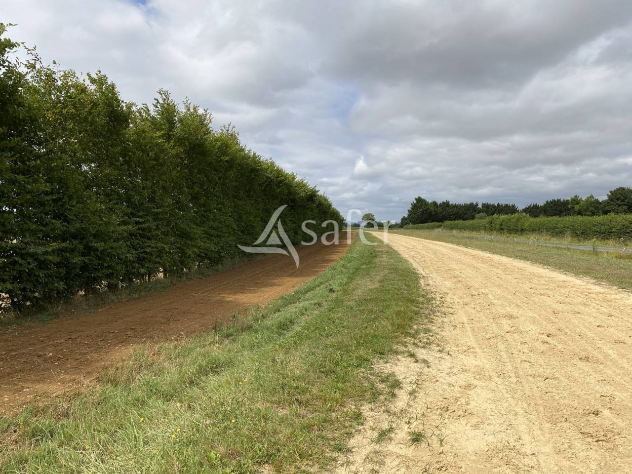 Equestrian property  Orne