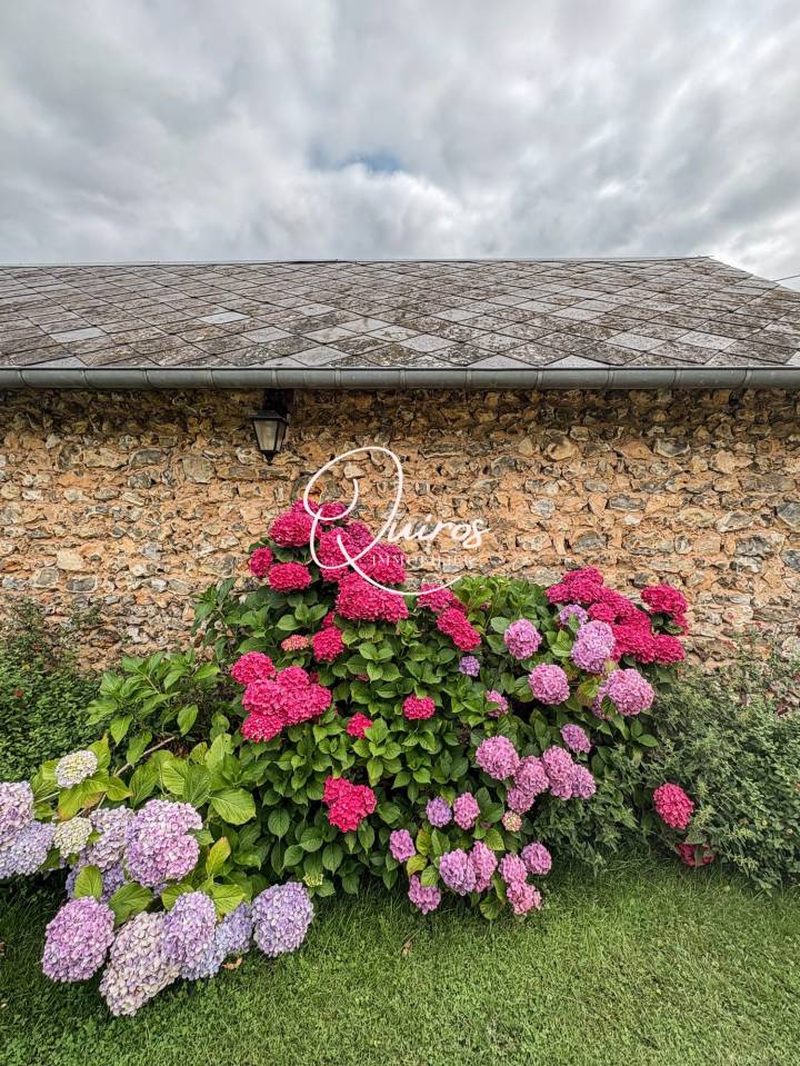 Equestrian property  Eure