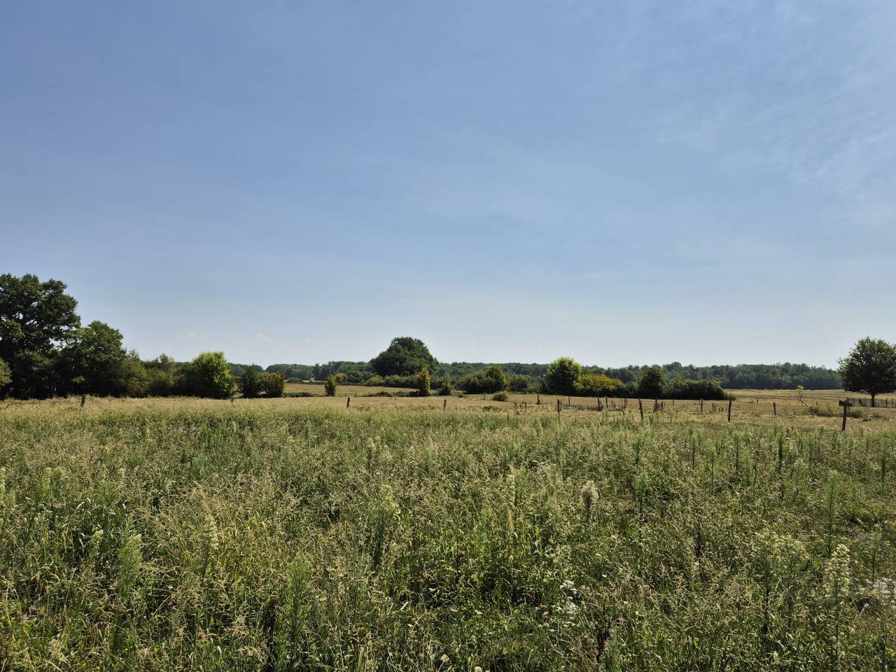 Equestrian farm  Saône-et-Loire