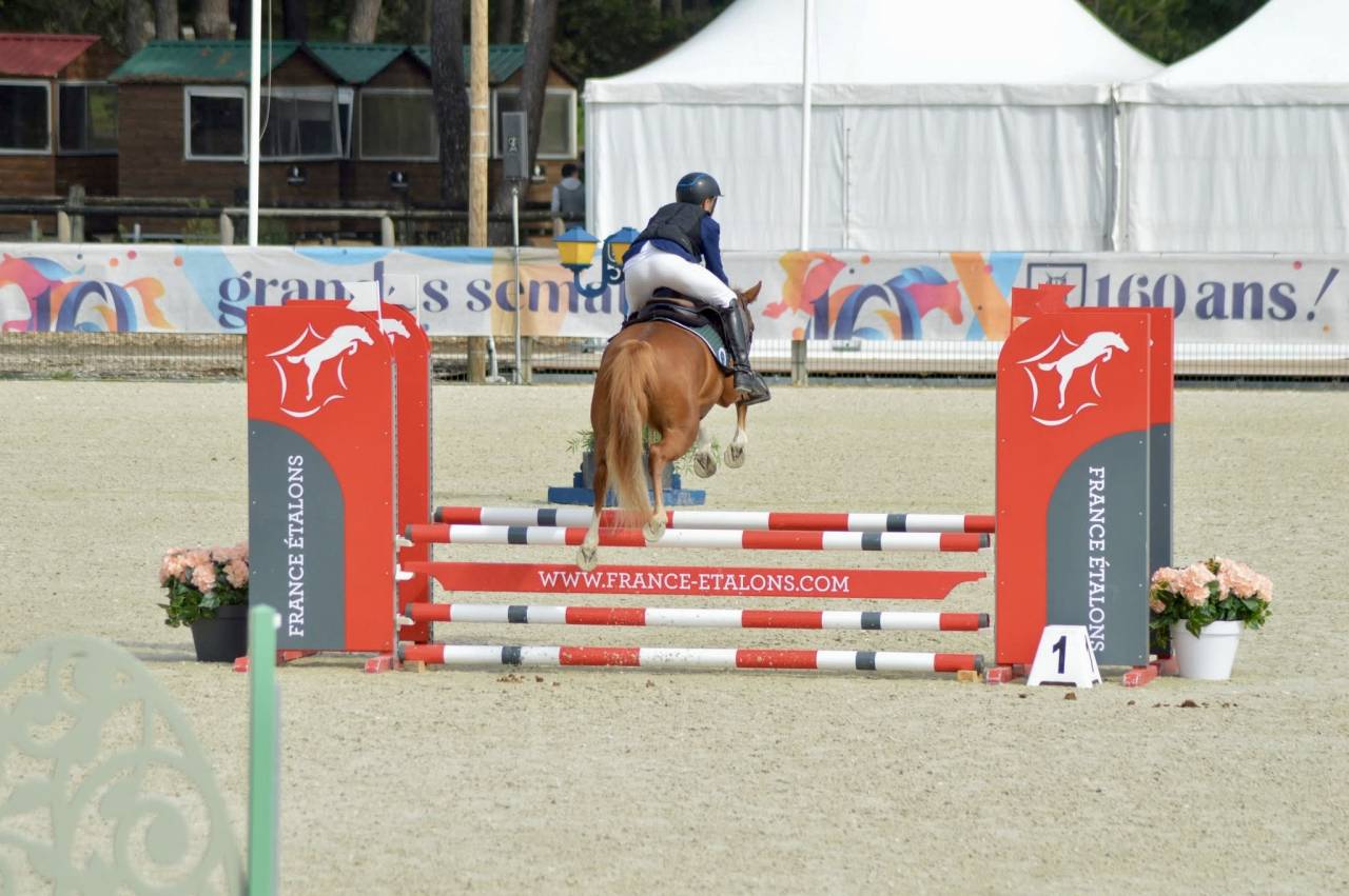 Mare French Saddle Pony For sale 2021 Chesnut