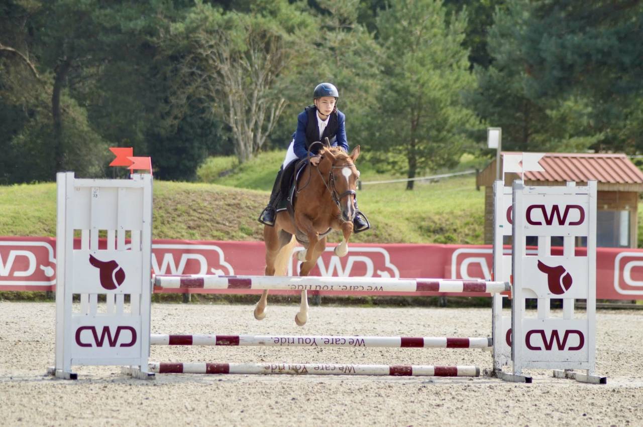 Mare French Saddle Pony For sale 2021 Chesnut