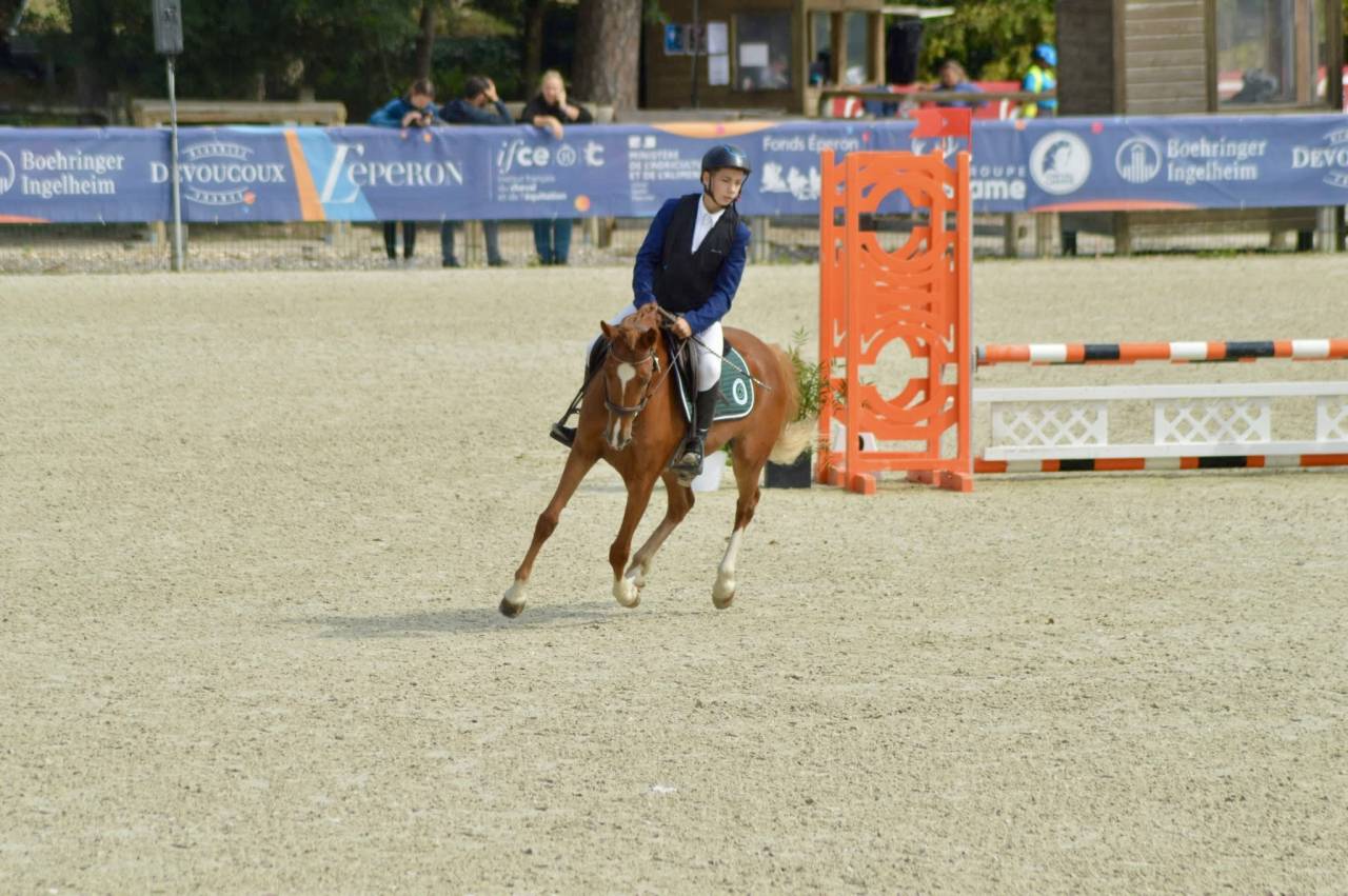 Mare French Saddle Pony For sale 2021 Chesnut