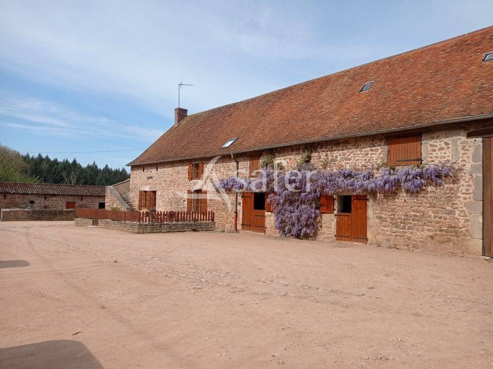 Woodland  Saône-et-Loire