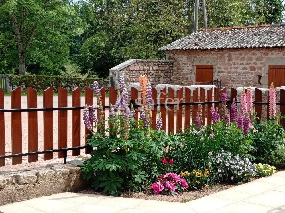 Woodland  Saône-et-Loire