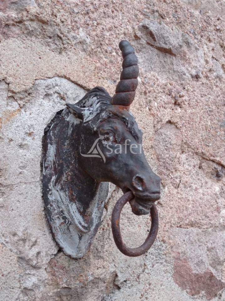 Woodland  Saône-et-Loire