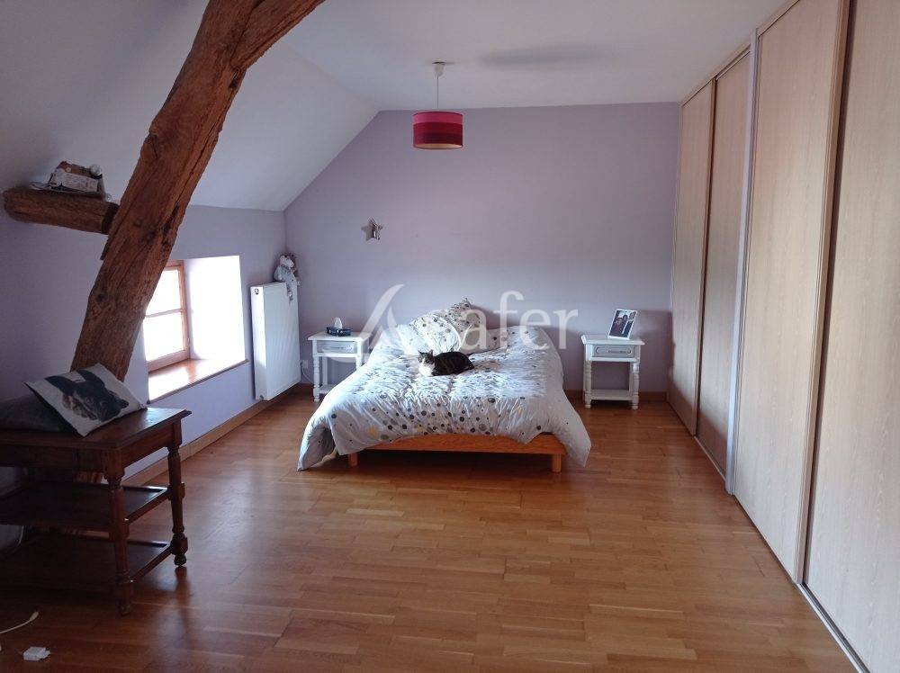 Woodland  Saône-et-Loire